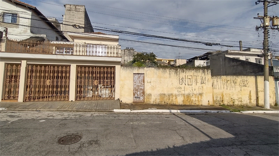 Foto REO1117651