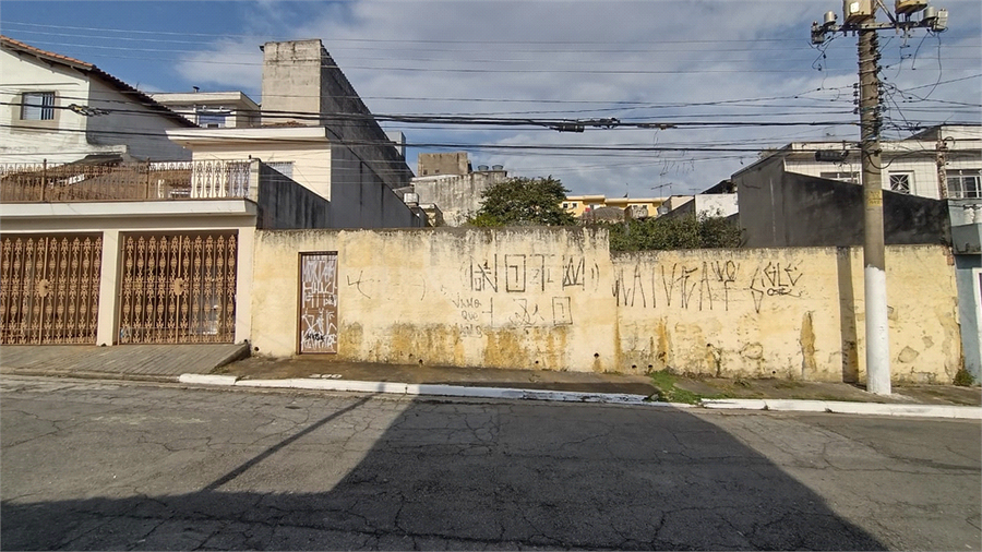 Foto REO1117651