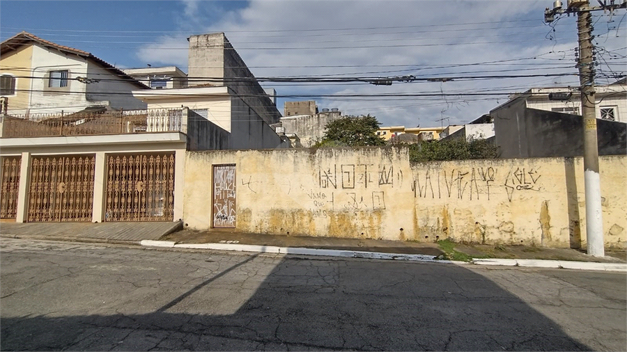 Foto REO1117651