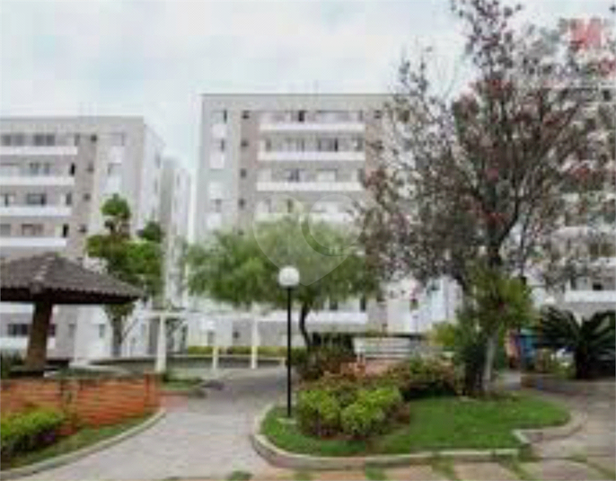 Foto REO1117659