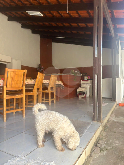Foto REO1117663