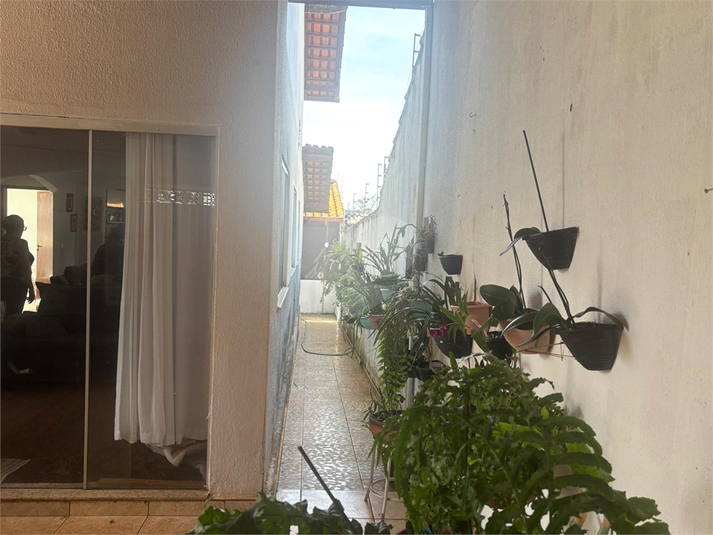 Foto REO1117663