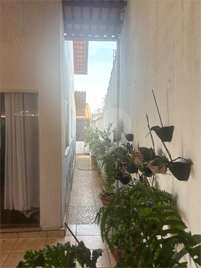 Foto REO1117663