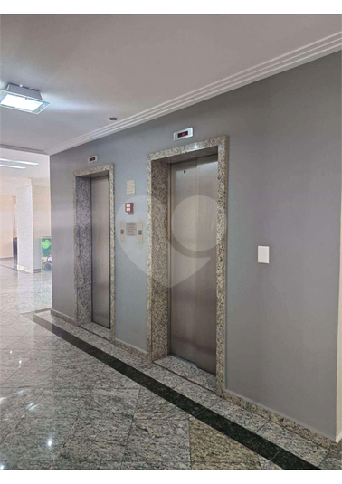 Foto REO1117666