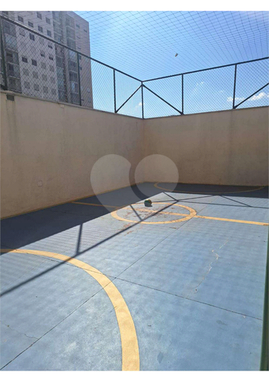 Foto REO1117666