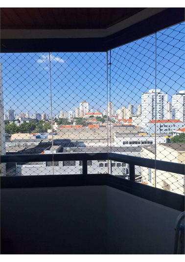 Foto REO1117666