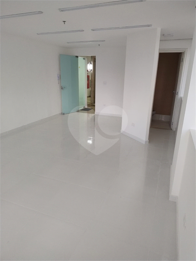 Foto REO1117669