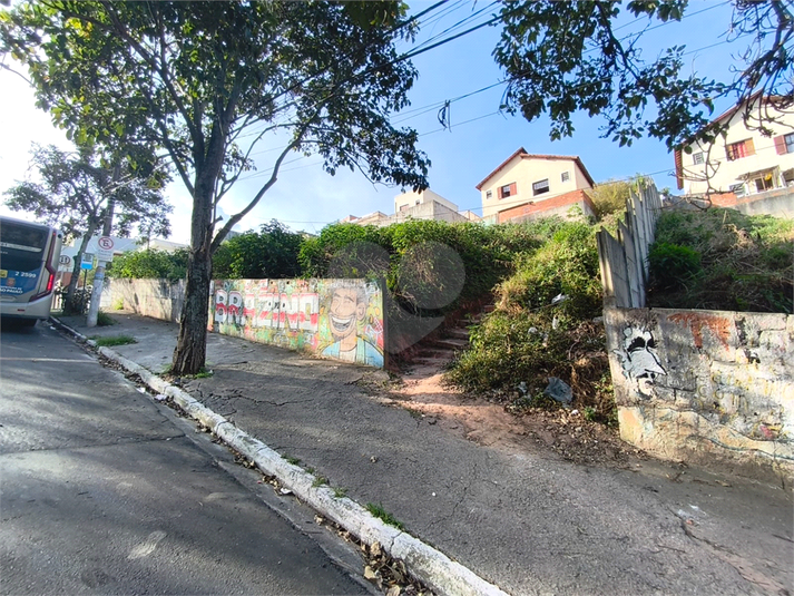 Foto REO1117681