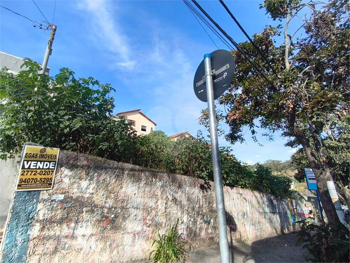 Foto REO1117681