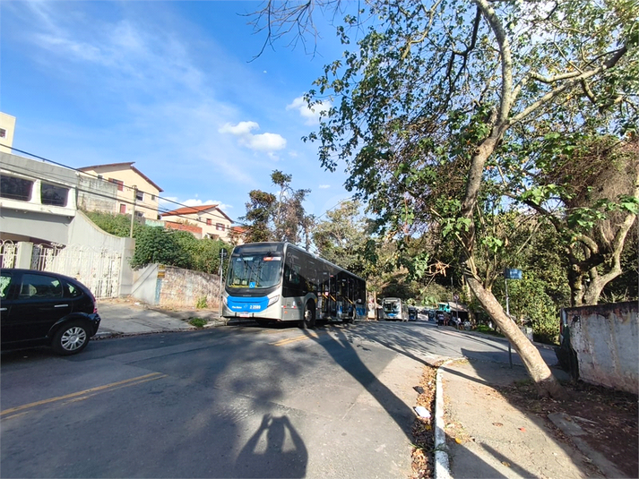 Foto REO1117684
