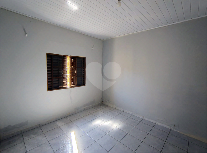 Foto REO1117689
