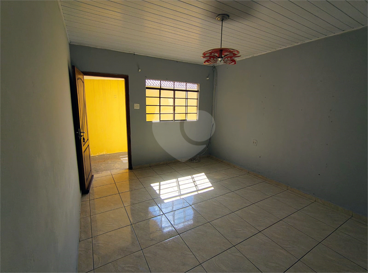 Foto REO1117689