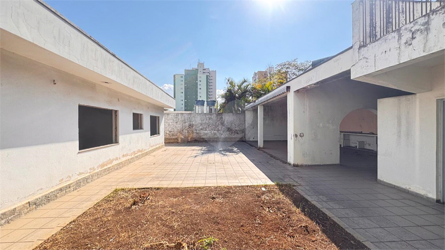 Foto REO1117696