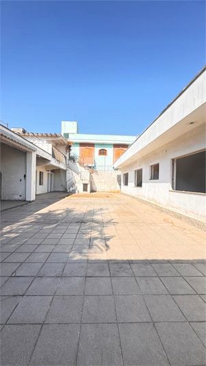 Foto REO1117696