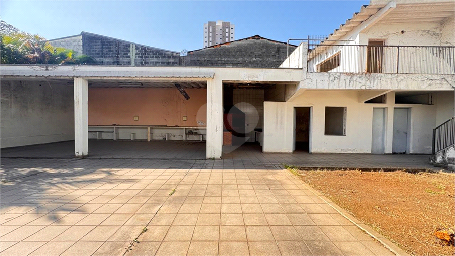 Foto REO1117696