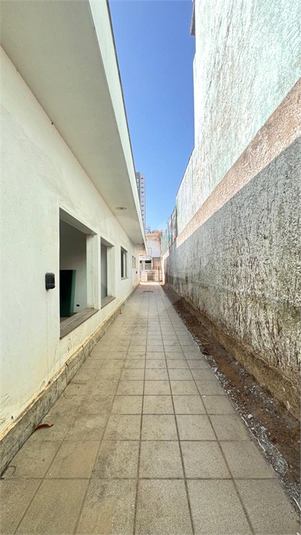 Foto REO1117696