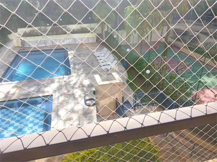 Foto REO1117703