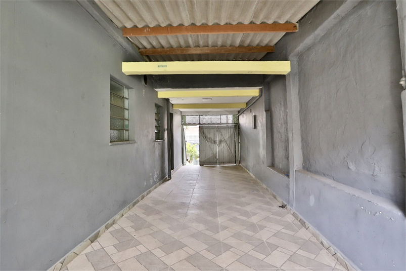 Foto REO1117709