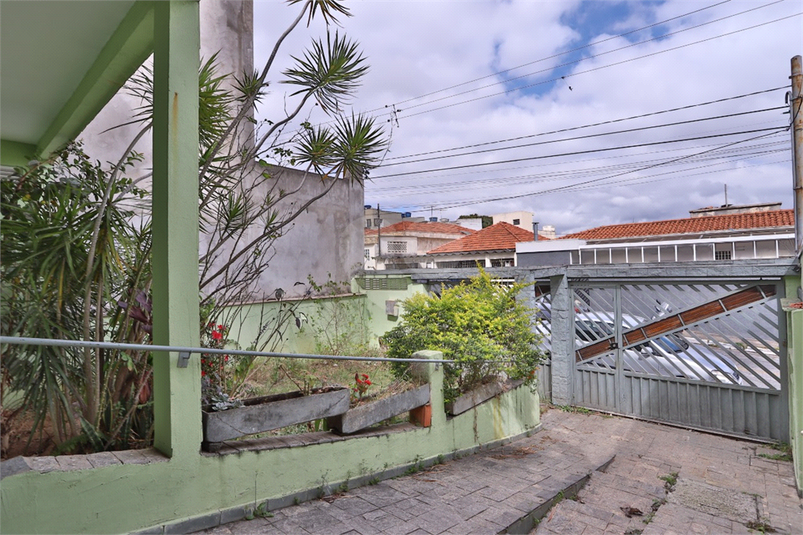 Foto REO1117709