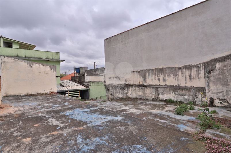 Foto REO1117709