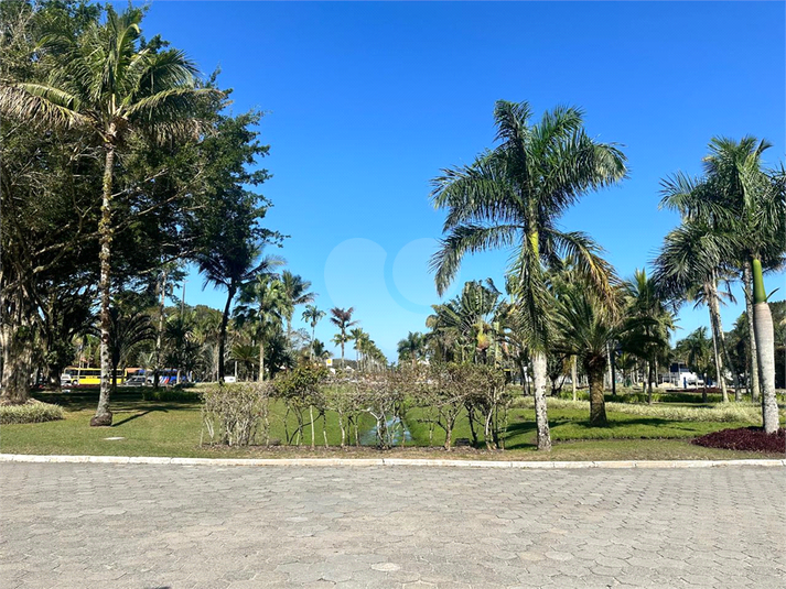 Foto REO1117716