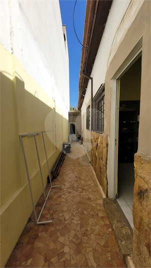 Foto REO1117728