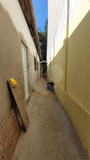 Foto REO1117728