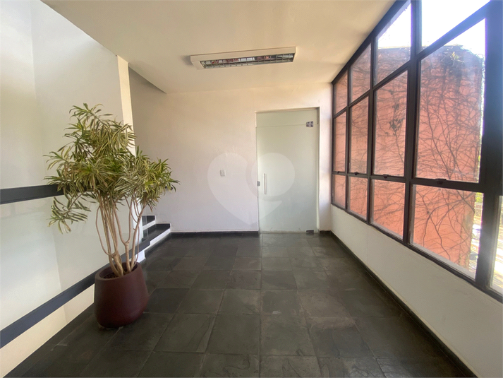 Foto REO1117736