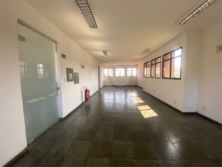Foto REO1117736