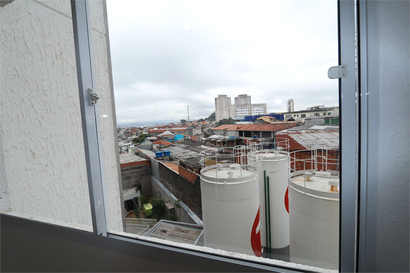 Foto REO1117745