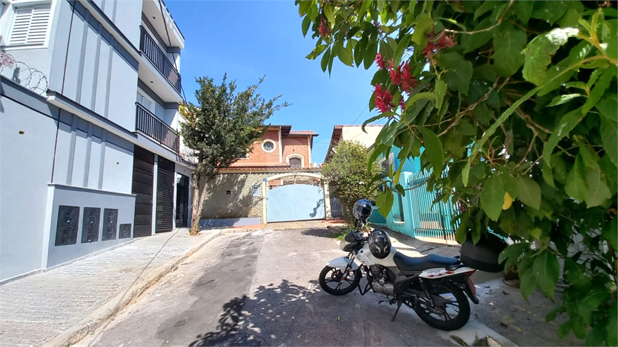 Foto REO1117757