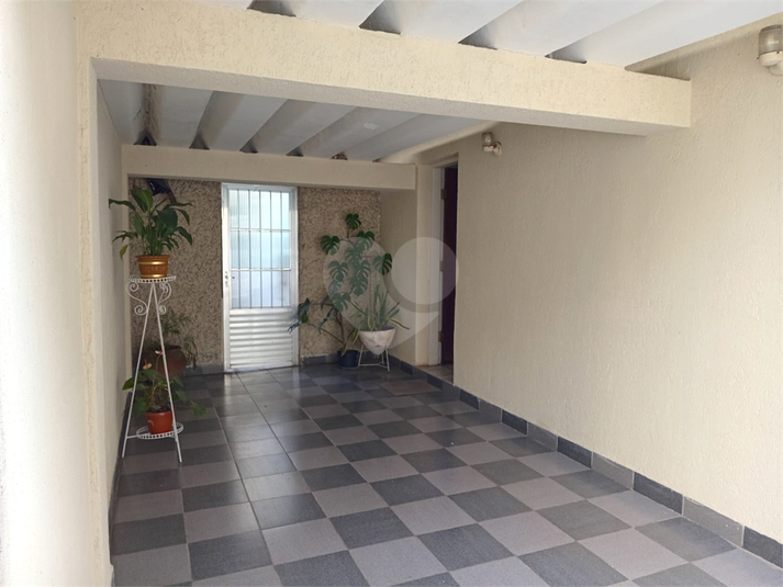 Foto REO1117766