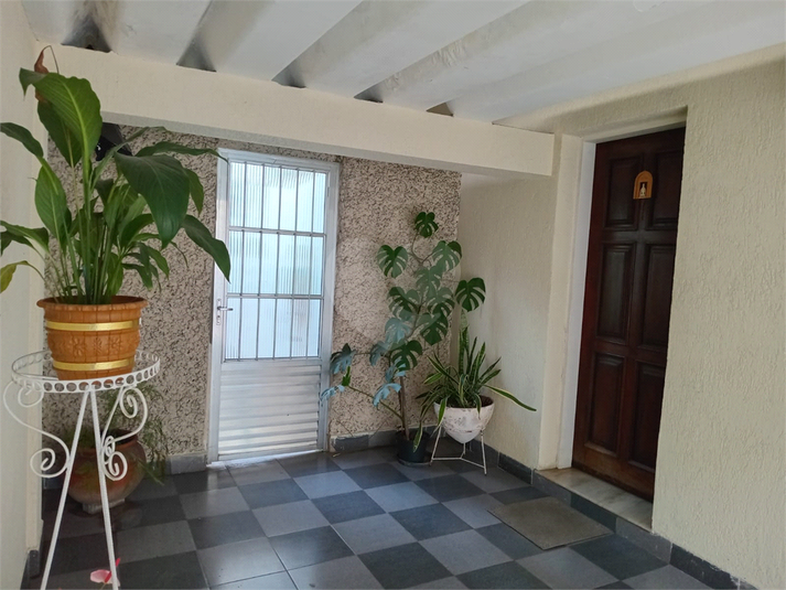 Foto REO1117766