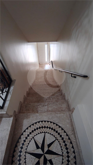 Foto REO1117767
