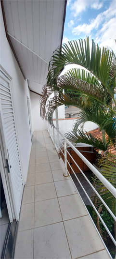 Foto REO1117778