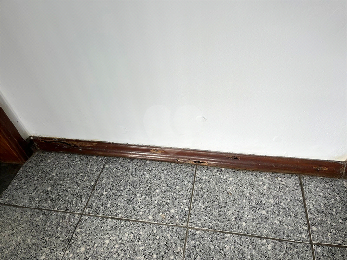 Foto REO1117794