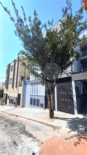 Foto REO1117796