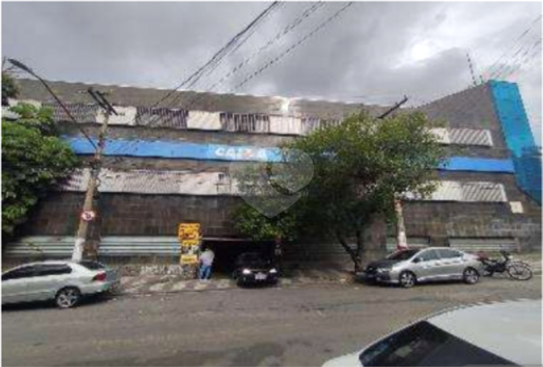 Foto REO1117803