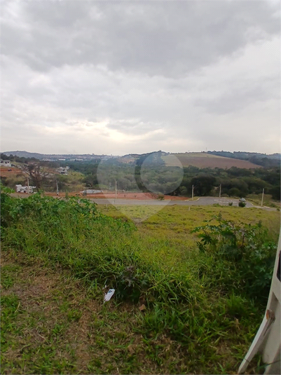 Foto REO1117807