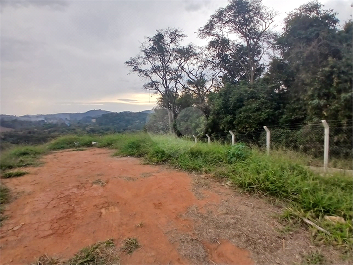 Foto REO1117807