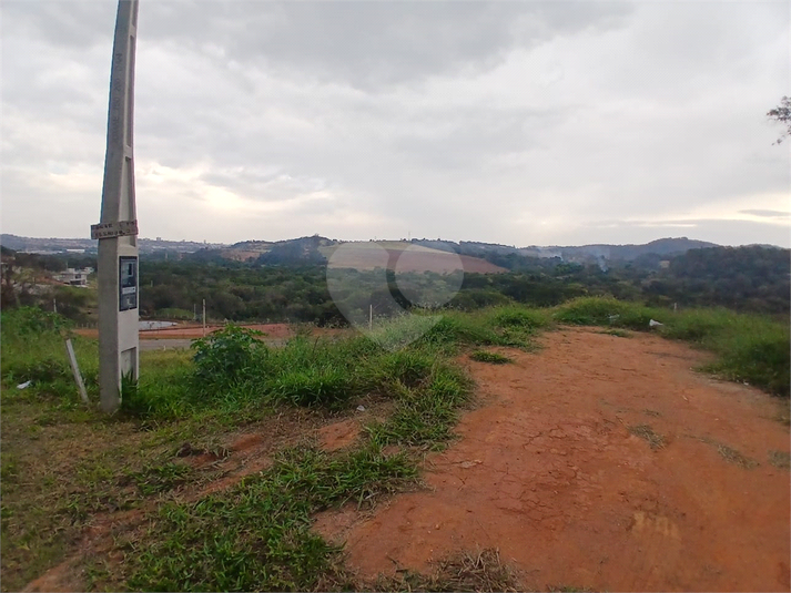 Foto REO1117807