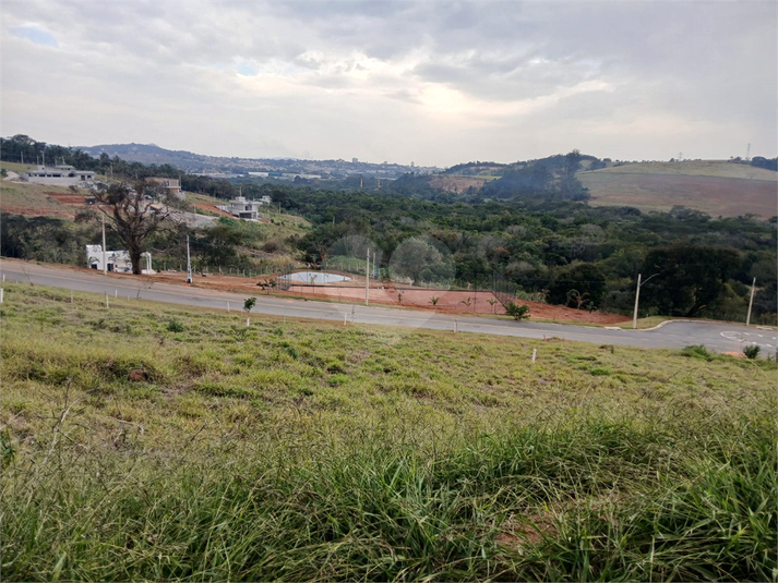 Foto REO1117807
