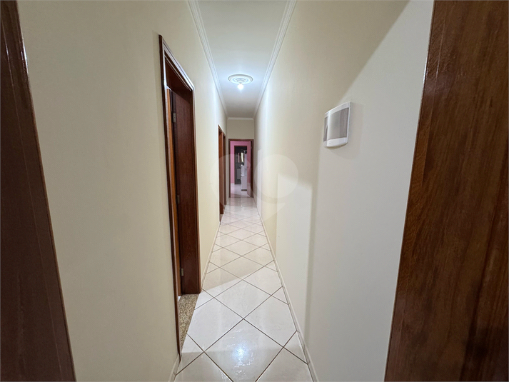 Foto REO1117811