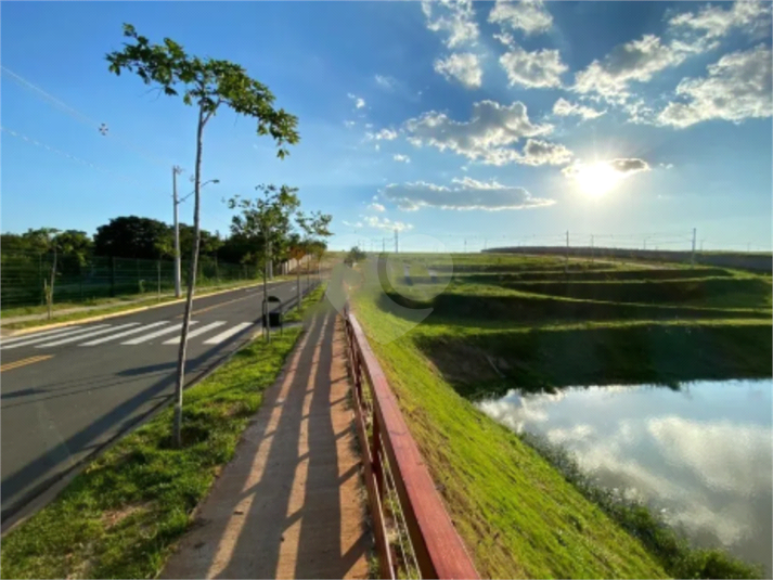 Foto REO1117818