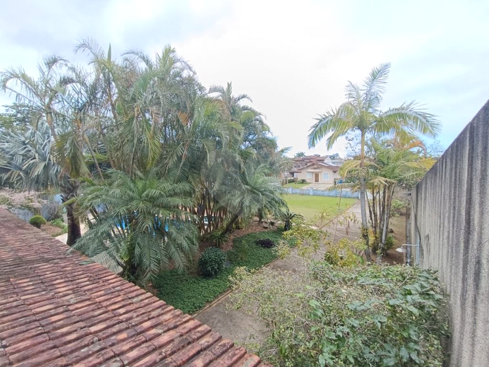 Foto REO1117830