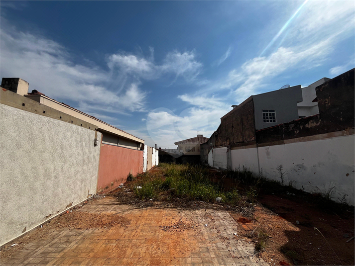 Foto REO1117841