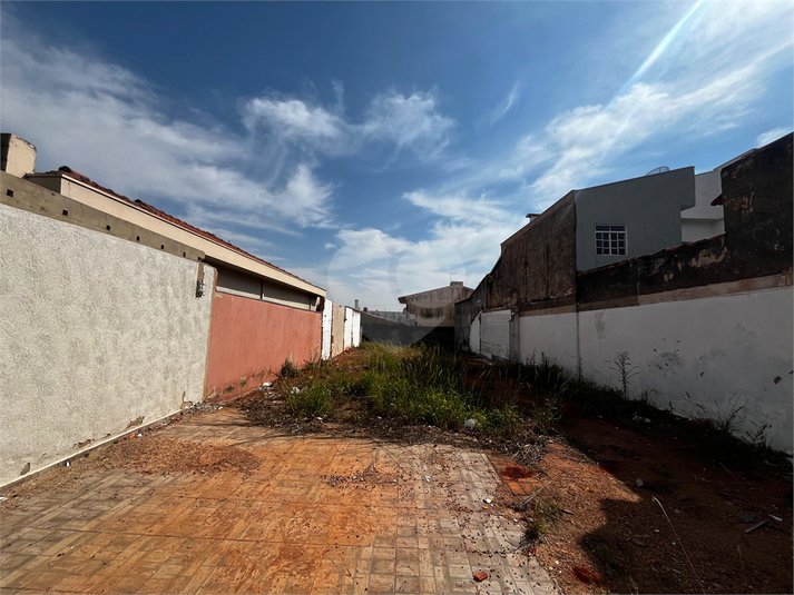 Foto REO1117841