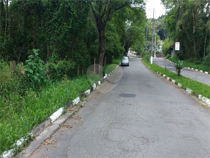 Foto REO1117846