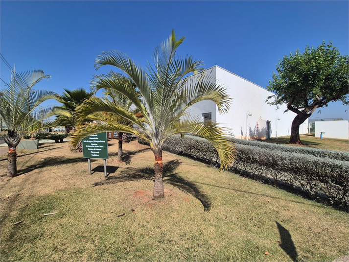 Foto REO1117864
