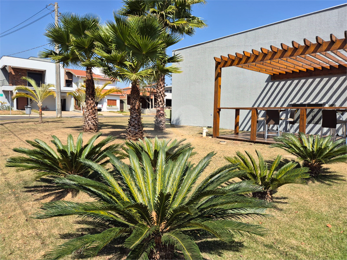 Foto REO1117864